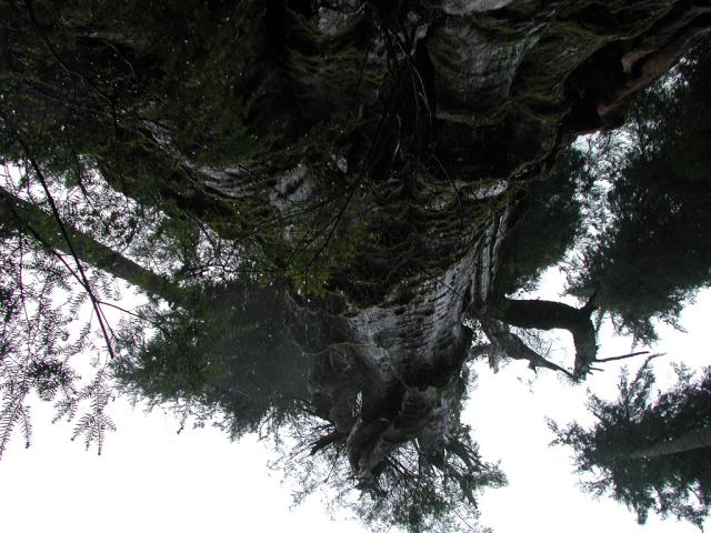 DSCN1694.jpg