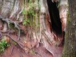 DSCN1695.jpg