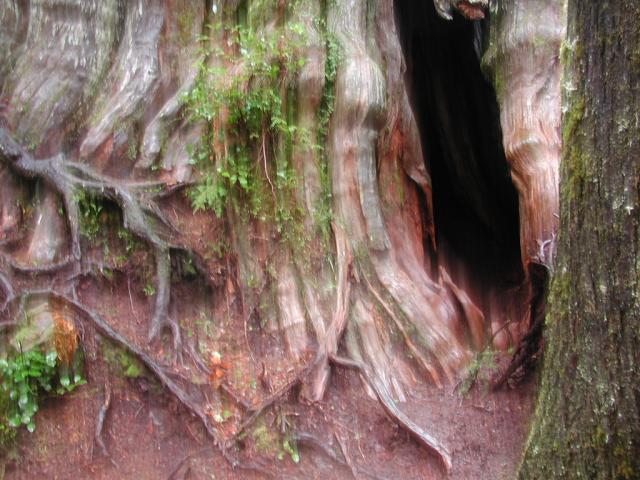 DSCN1695.jpg