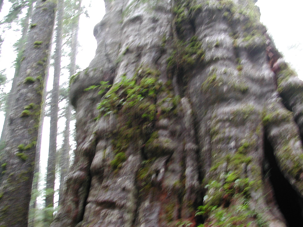 DSCN1696.jpg