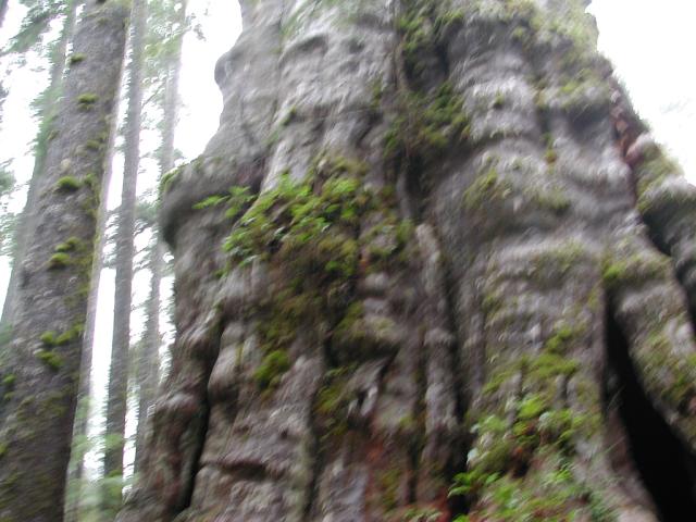 DSCN1696.jpg