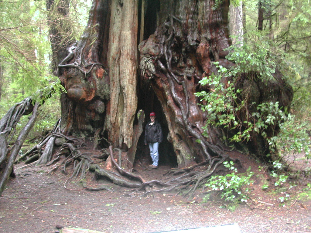 DSCN1700.jpg