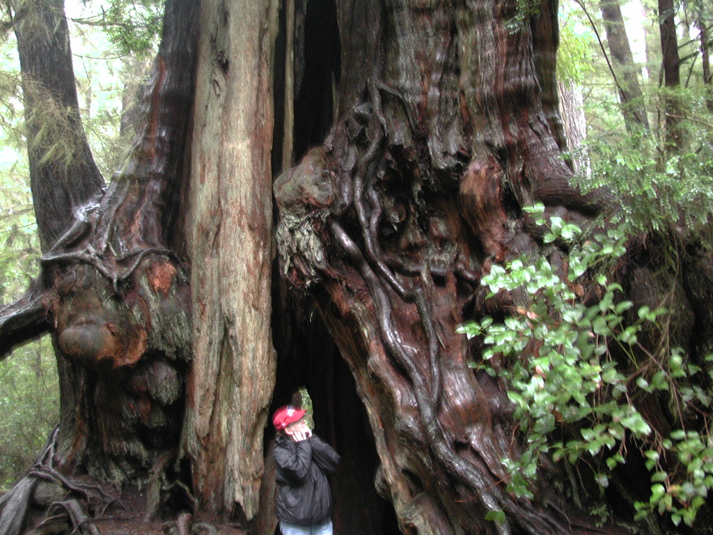 DSCN1703.jpg