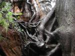 DSCN1707.jpg