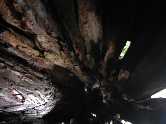 DSCN1715.jpg