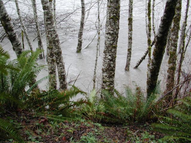 DSCN1718.jpg