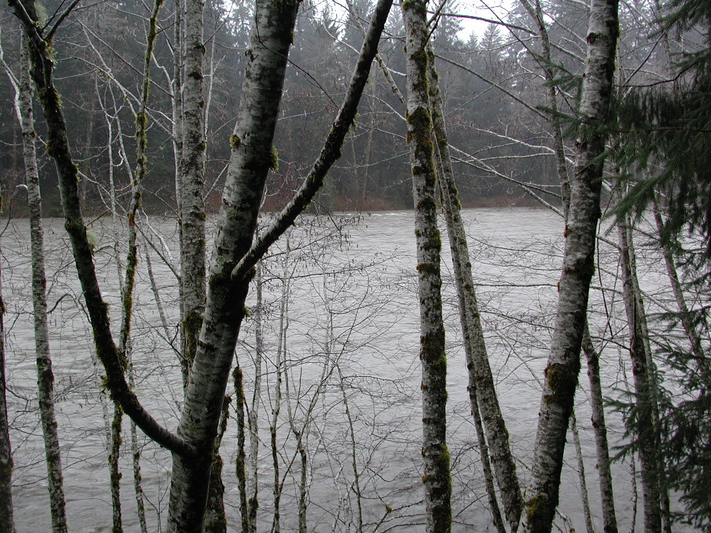 DSCN1719.jpg