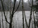 DSCN1719.jpg