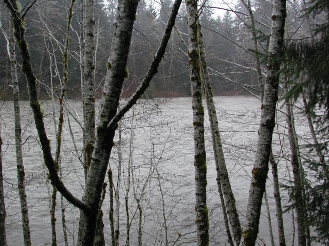 DSCN1719.jpg