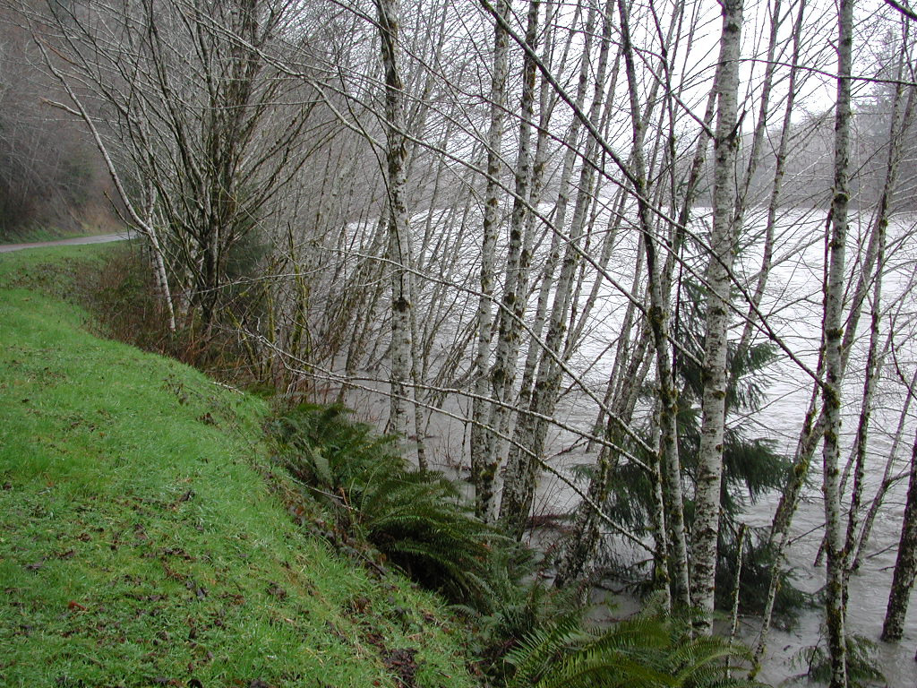 DSCN1720.jpg
