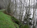 DSCN1720.jpg