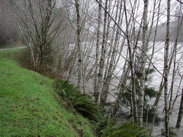DSCN1720.jpg