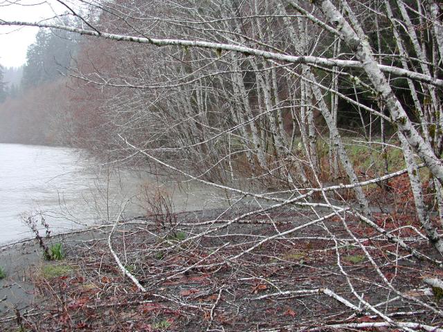 DSCN1721.jpg