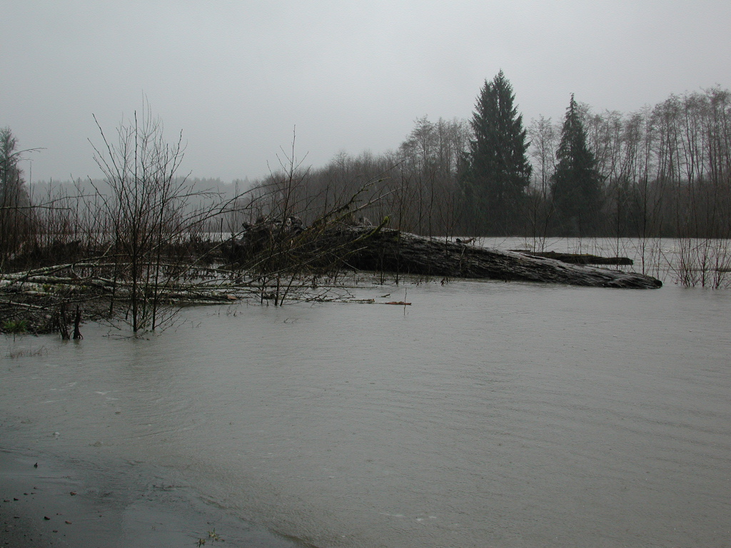 DSCN1722.jpg