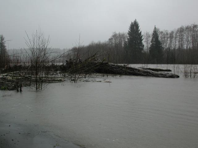 DSCN1722.jpg