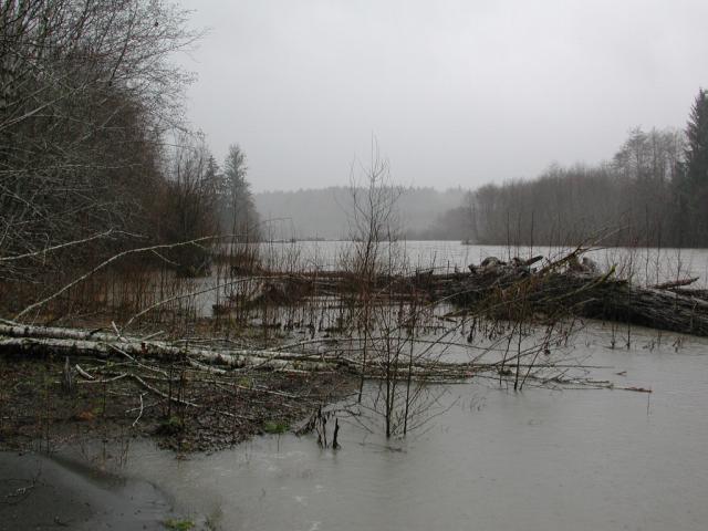 DSCN1724.jpg