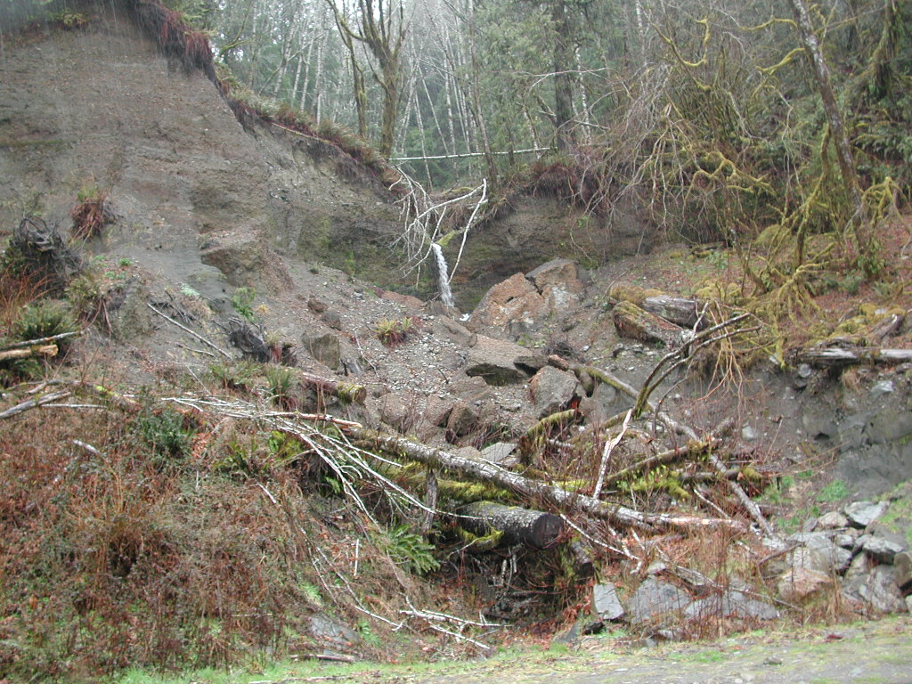 DSCN1725.jpg