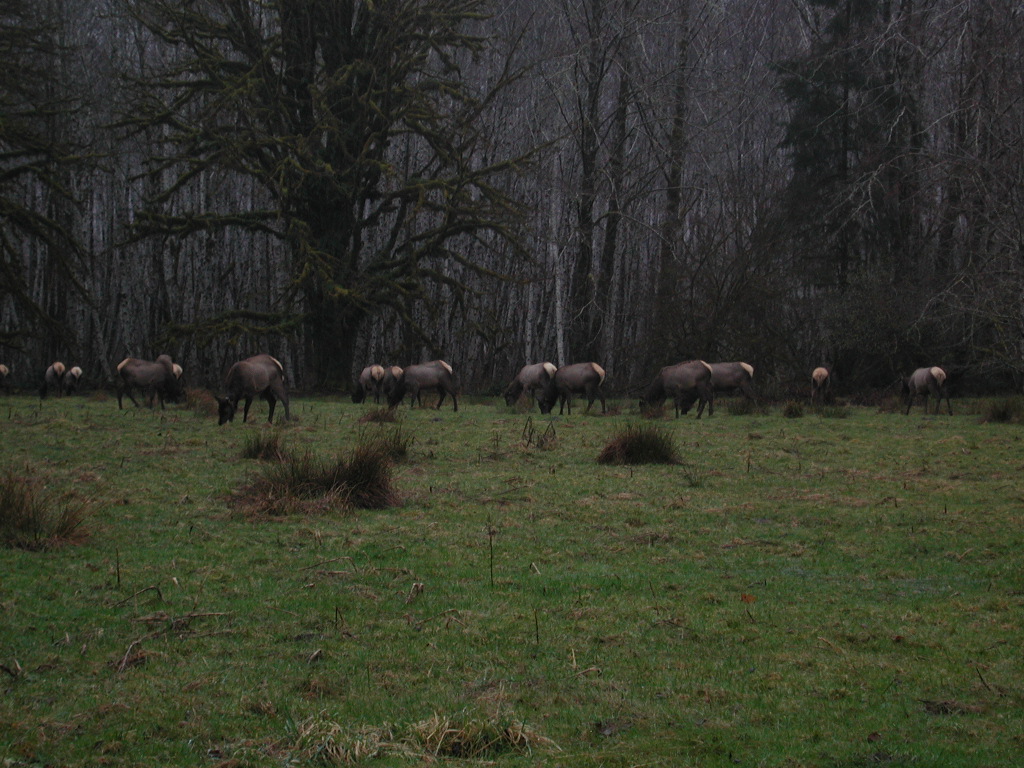 DSCN1727.jpg