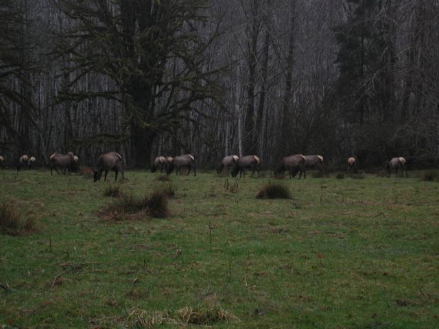 DSCN1727.jpg
