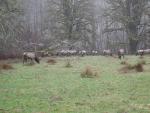 DSCN1728.jpg