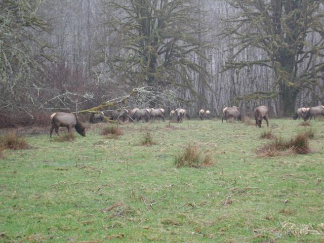 DSCN1728.jpg