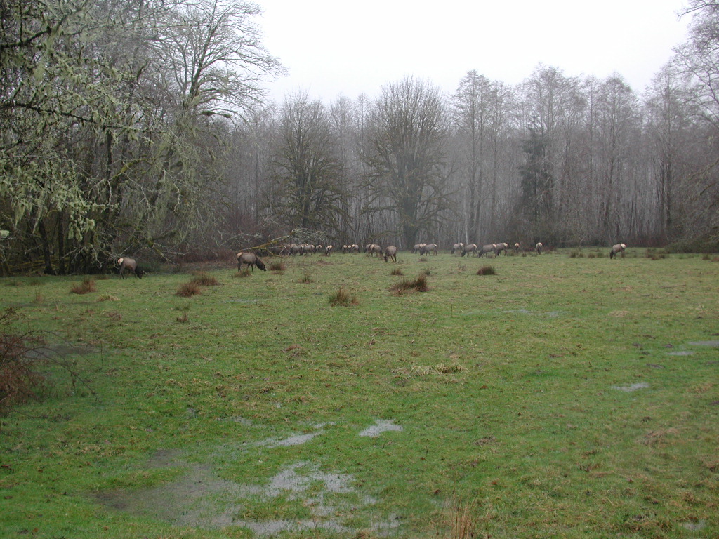 DSCN1729.jpg