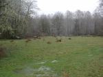DSCN1729.jpg