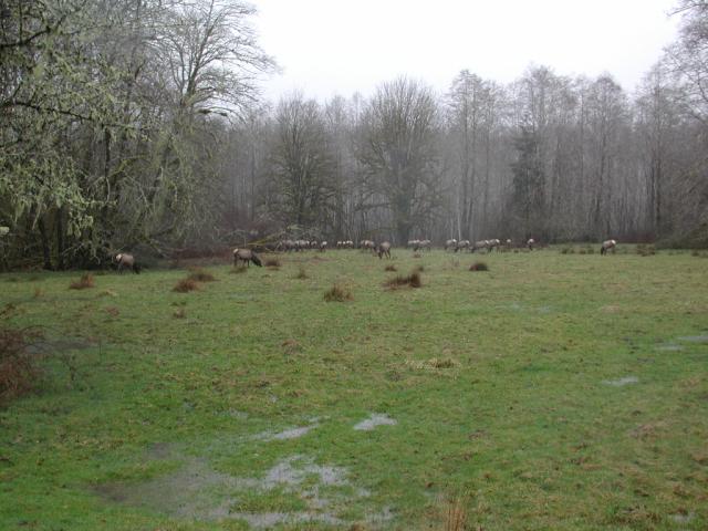 DSCN1729.jpg