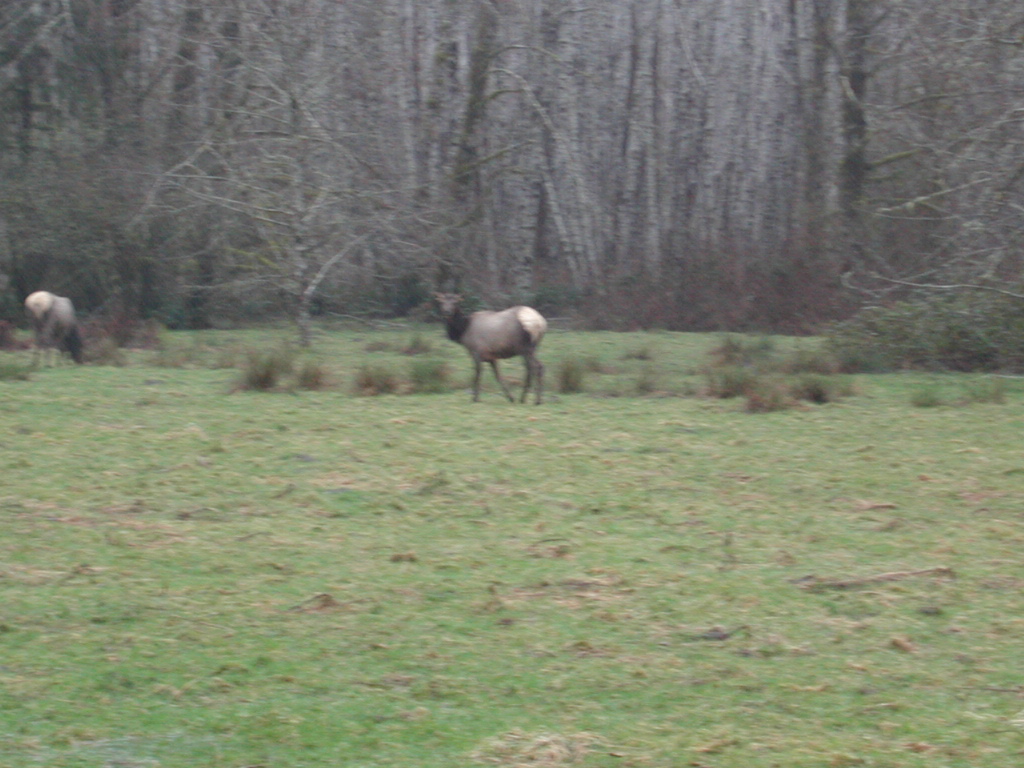 DSCN1731.jpg