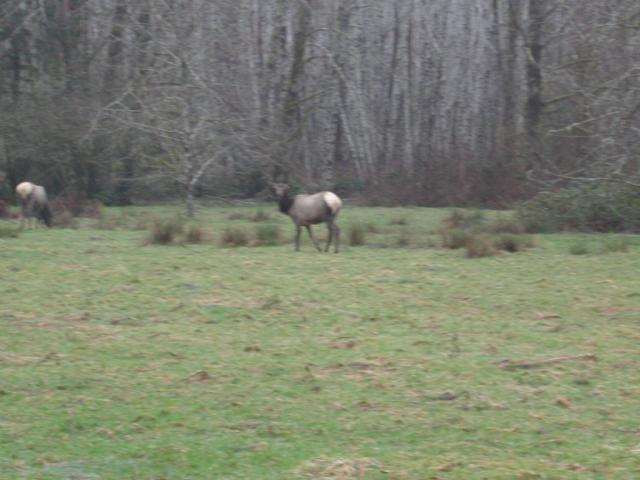 DSCN1731.jpg