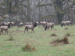DSCN1732.jpg