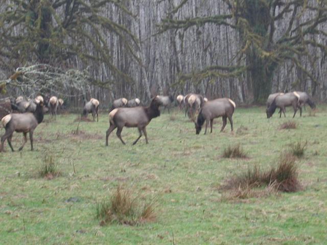 DSCN1732.jpg