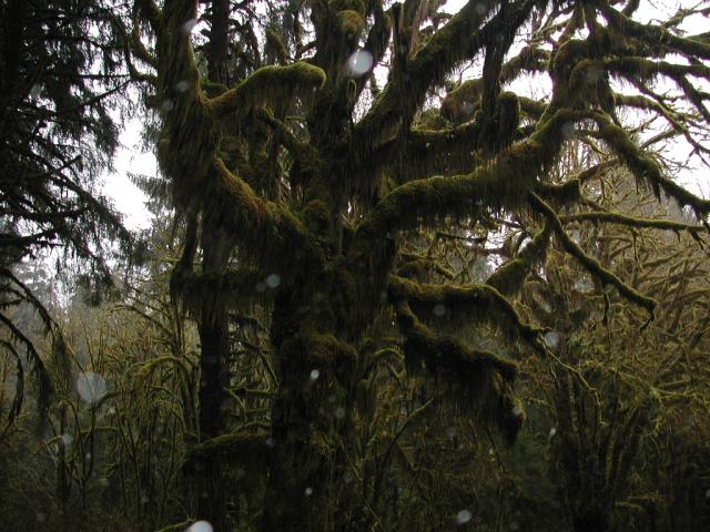 DSCN1733.jpg