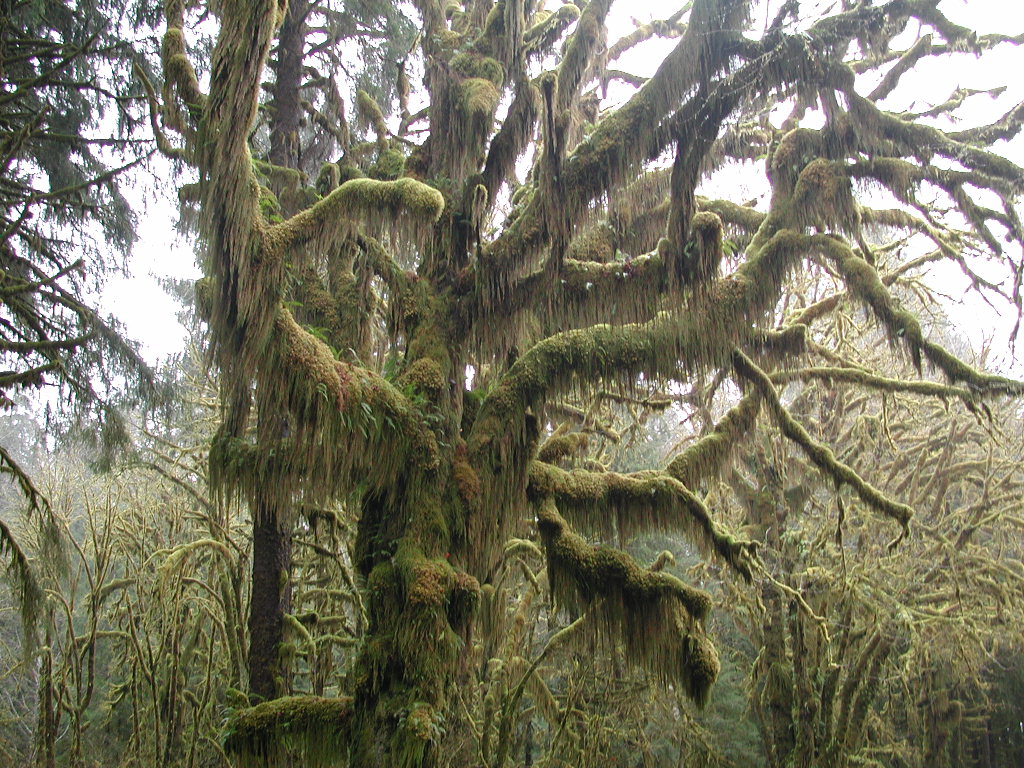 DSCN1734.jpg