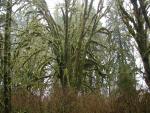 DSCN1735.jpg