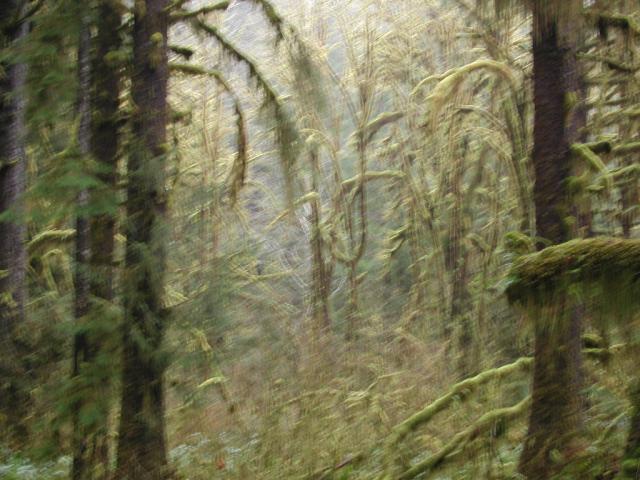 DSCN1736.jpg