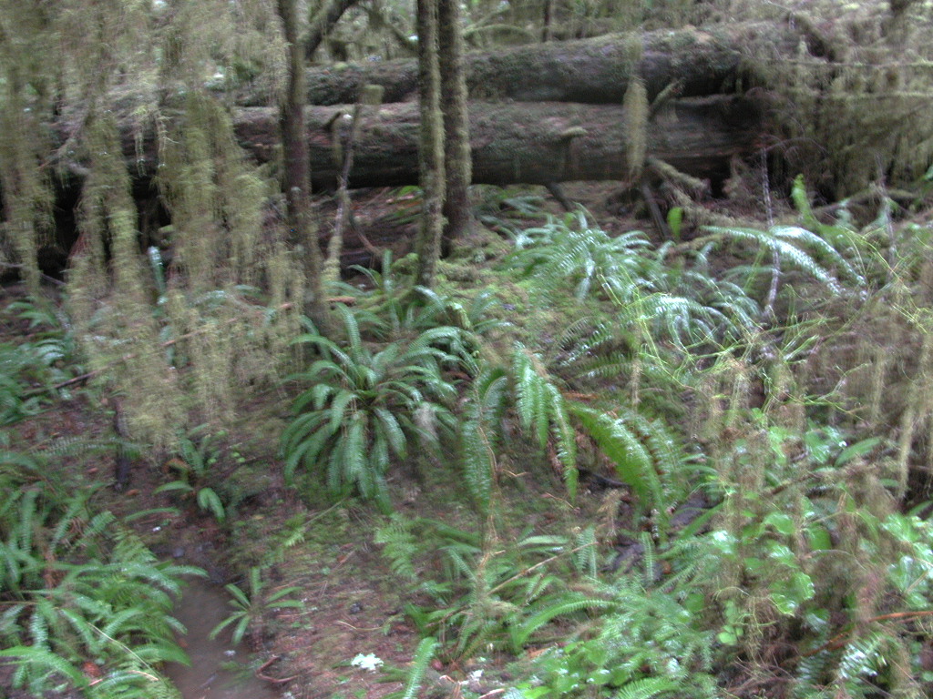 DSCN1741.jpg