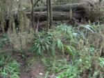 DSCN1741.jpg