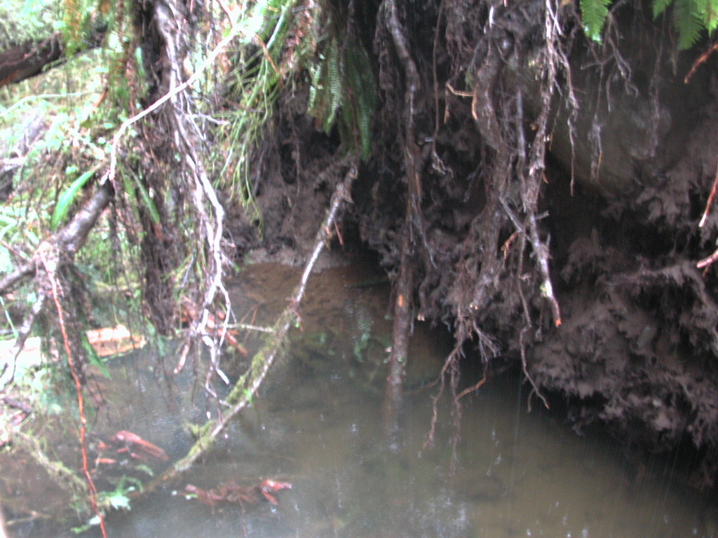 DSCN1749.jpg