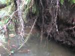 DSCN1749.jpg