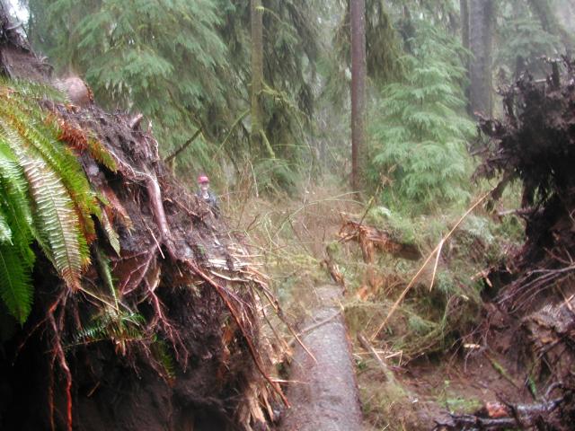 DSCN1751.jpg