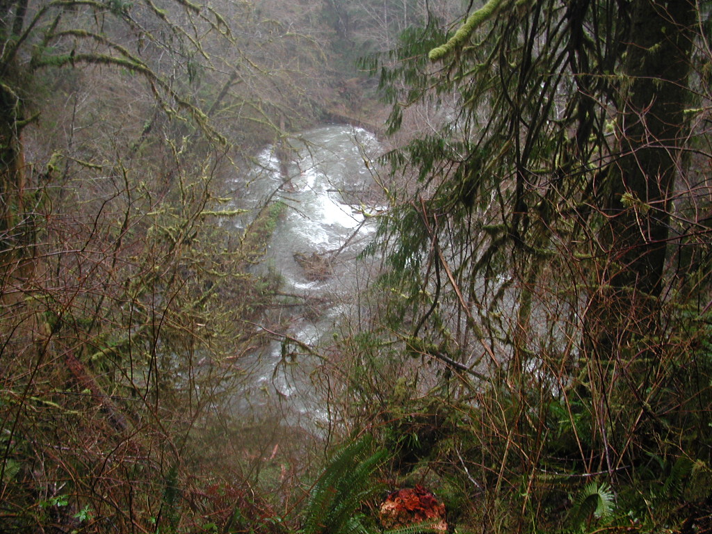 DSCN1753.jpg