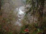 DSCN1754.jpg