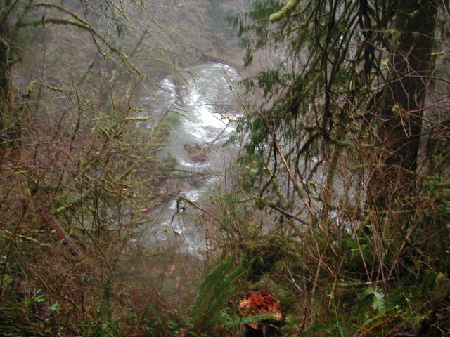 DSCN1754.jpg