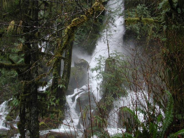 DSCN1755.jpg