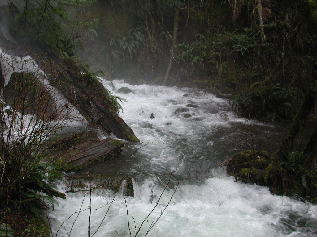 DSCN1757.jpg