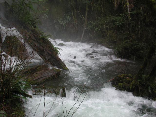 DSCN1757.jpg