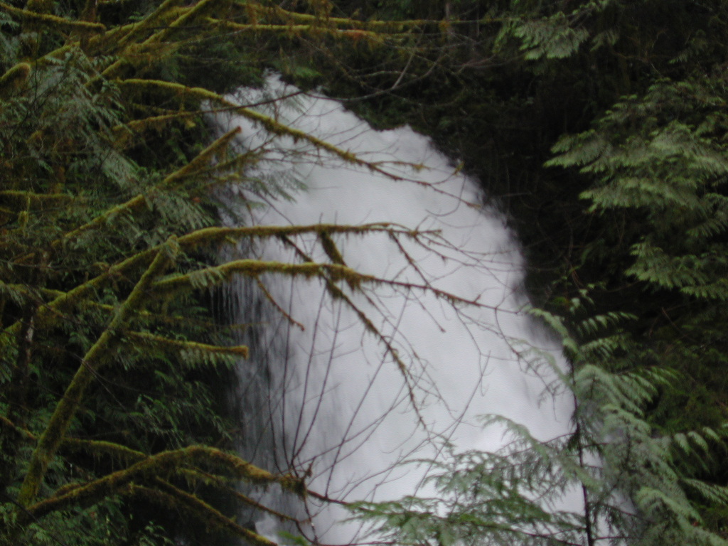 DSCN1759.jpg