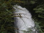 DSCN1759.jpg