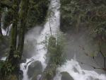 DSCN1760.jpg